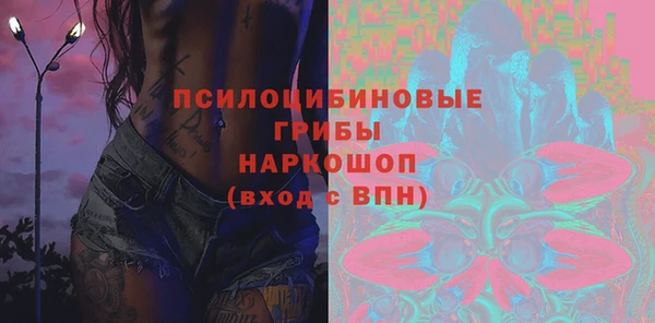 прущая мука Арсеньев