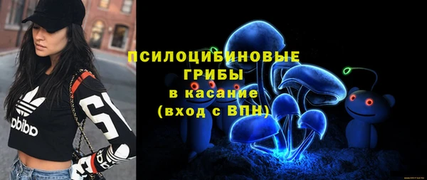 прущая мука Арсеньев
